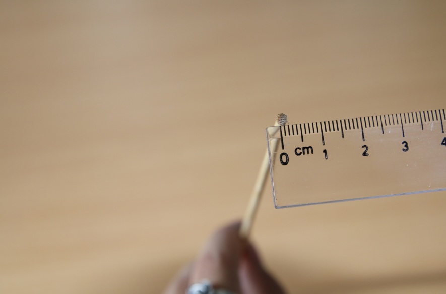 Cỡ tăm đường kính 1.4mm
