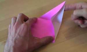 Gấp hoa lan Origami