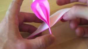 Gấp hoa lan Origami