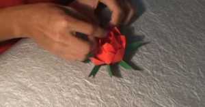 Cách xếp hoa sen bằng giấy theo phong cách origami