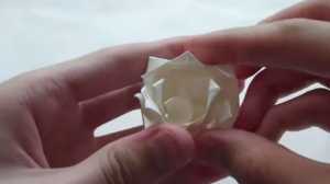 Gấp hoa hồng Origami bằng giấy ăn