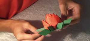 Cách xếp hoa sen bằng giấy theo phong cách origami