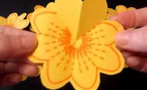 Làm thiệp sinh nhật gắn cánh hoa 3D độc đáo