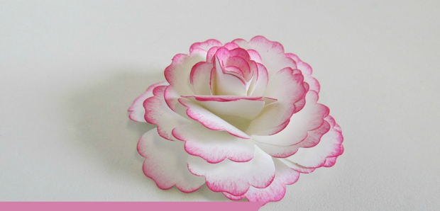 Cách gấp hoa giấy theo phong cách origami