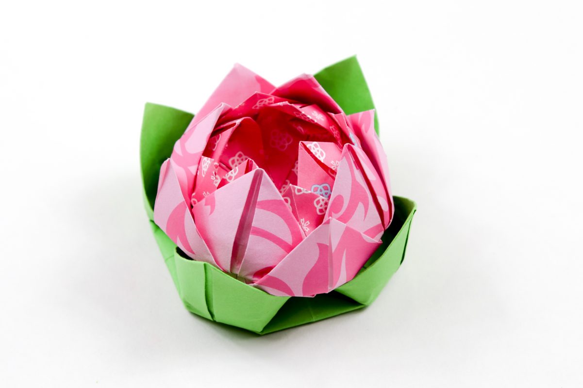Cách Gấp Hoa Sen Giấy Hồng Theo Phong Cách Origami -