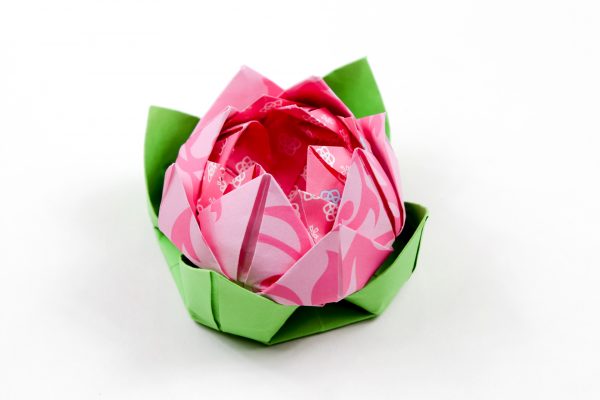origami lotus leaf 00